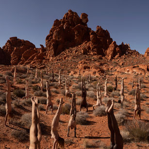 Human Garden- Rob Woodcox - JM Art Management