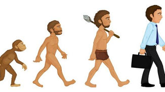 El homo sapiens es...