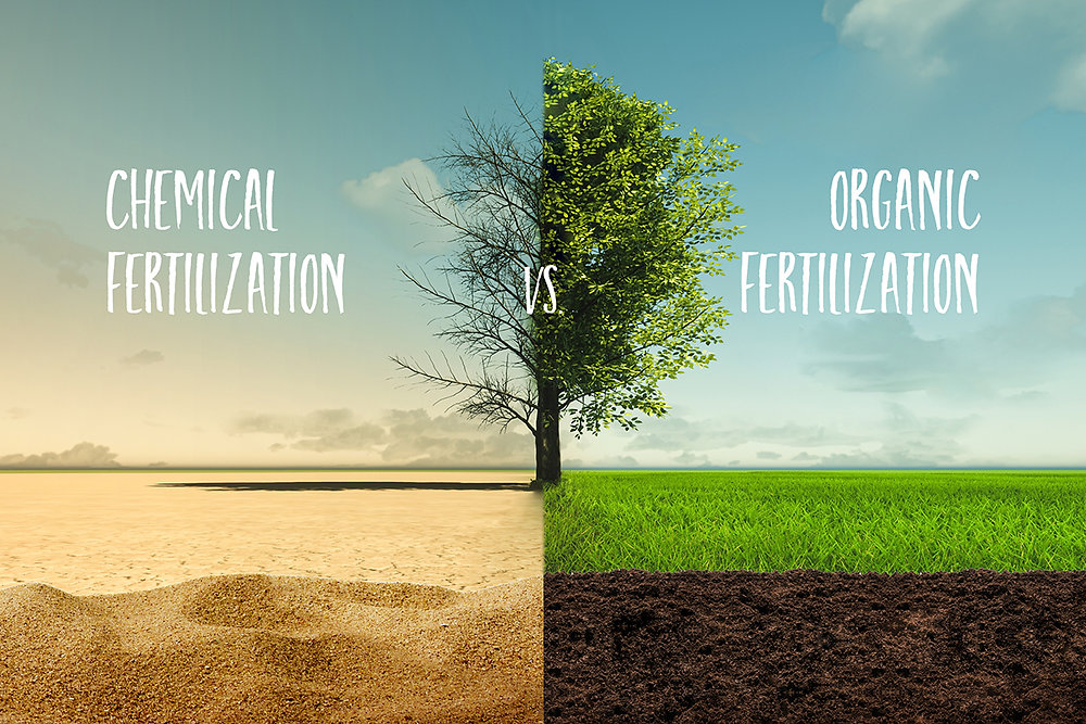 The benefits of organic fertilization