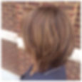 Brown Bob with Med Blonde Highlights