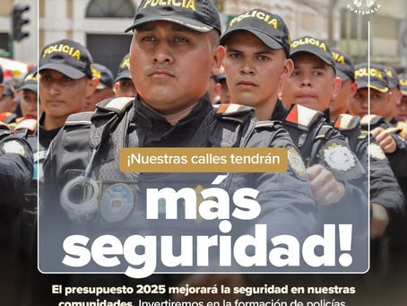 Presupuesto 2025: plantea más seguridad con menos delitos