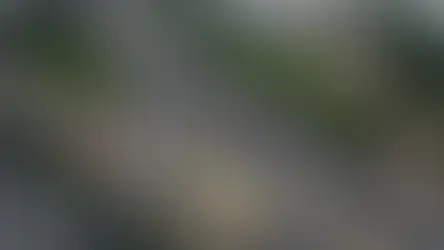 Excepciones en los Procesos de Contratación para la Reparación de la Ruta al Pacífico: Normas y Transparencia