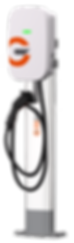 Single_ped.png