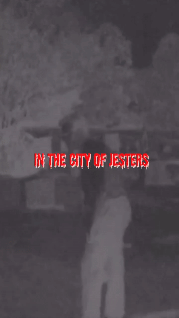 ezgif.com-video-to-gif-converter (2).gif