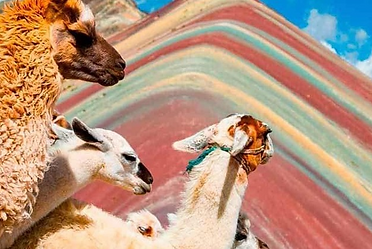 Montana de Colores.png