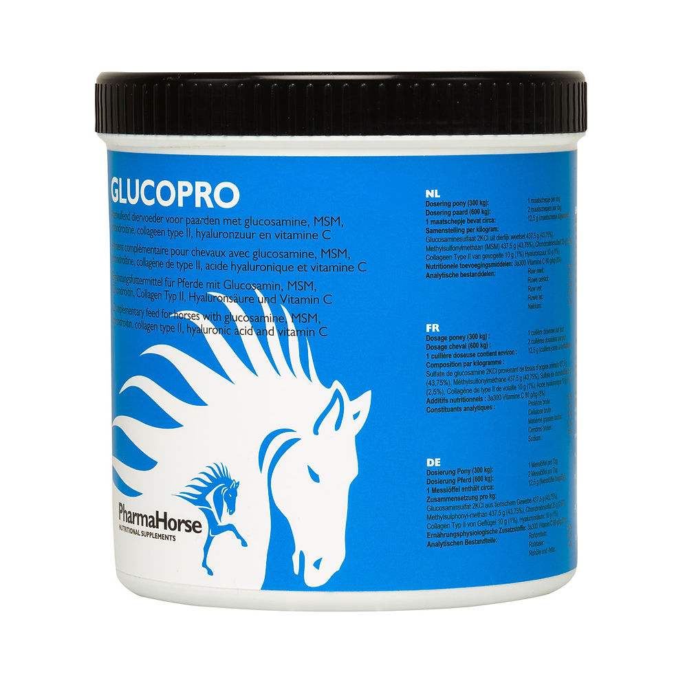 Glucopro horse