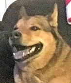 Bronson
