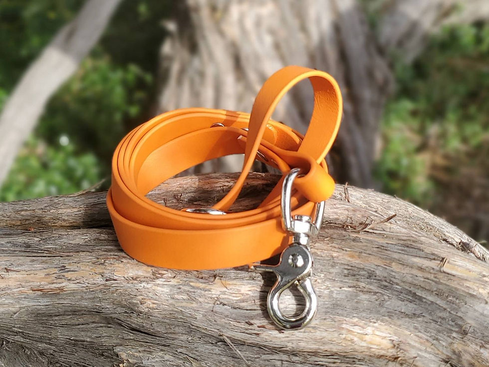 Thumbnail: Waterproof Dog Lead