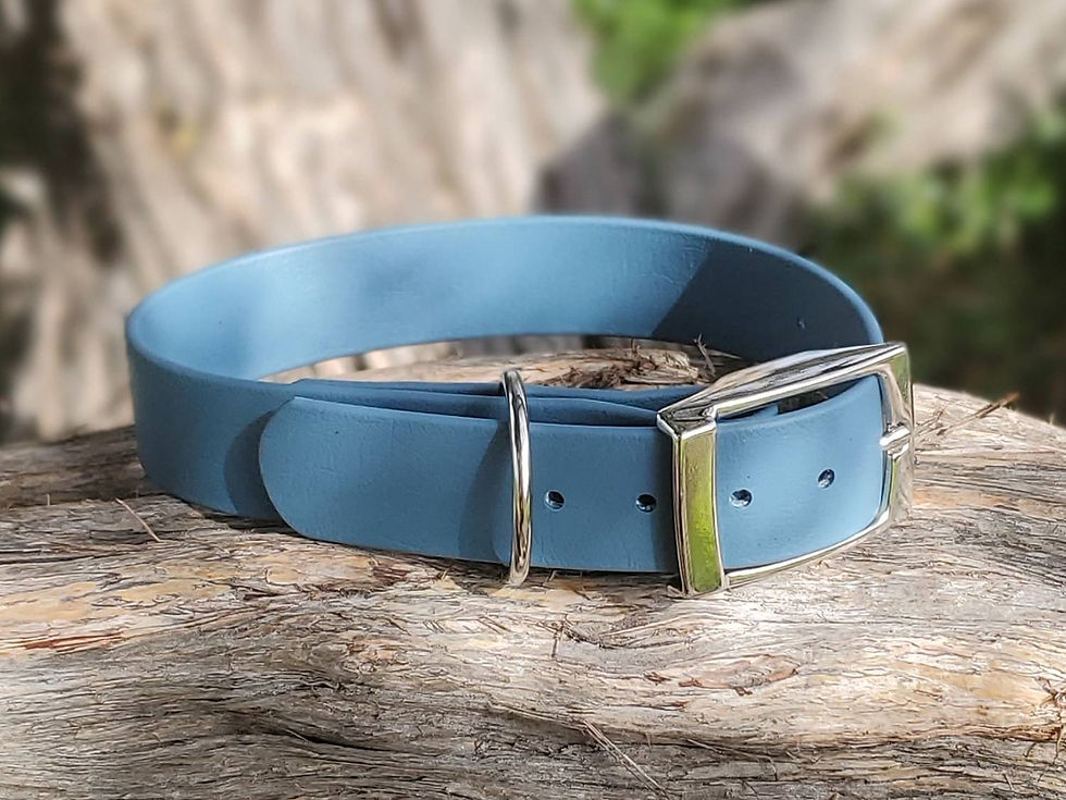 Thumbnail: Waterproof Dog Collar