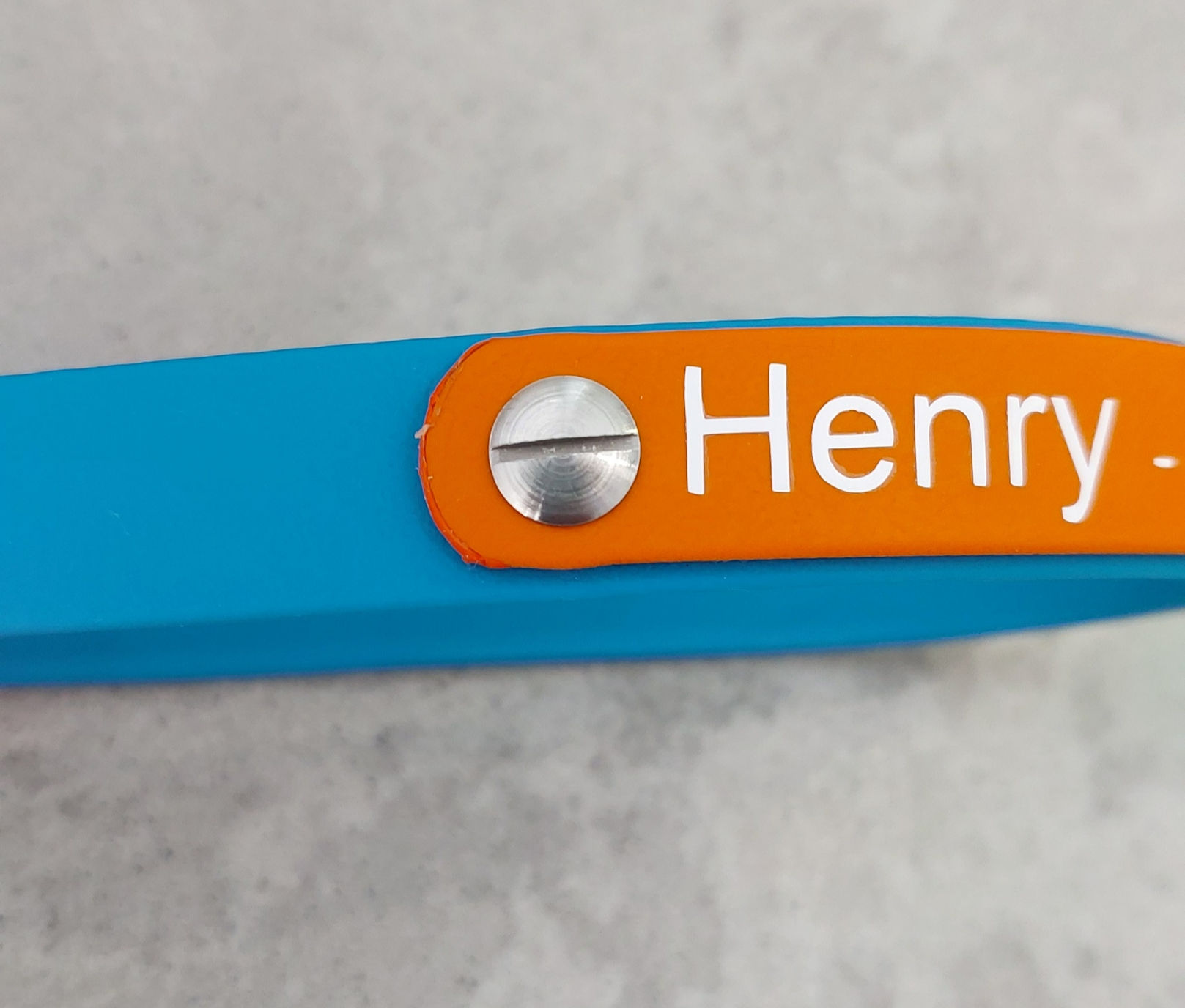 Replaceable nameplates for collars