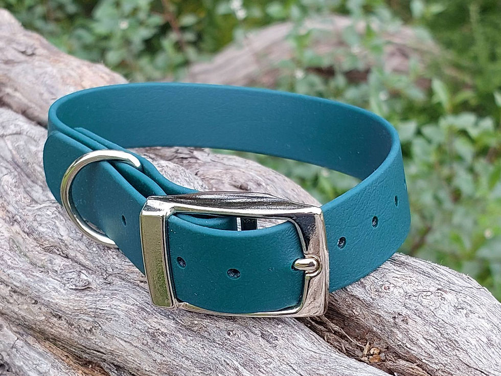 Thumbnail: Waterproof Dog Collar