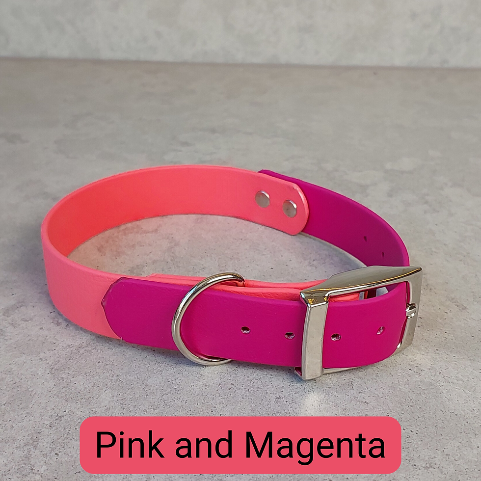 Thumbnail: 2 Colour Waterproof Dog Collar