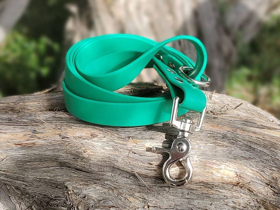 Thumbnail: Waterproof Dog Lead
