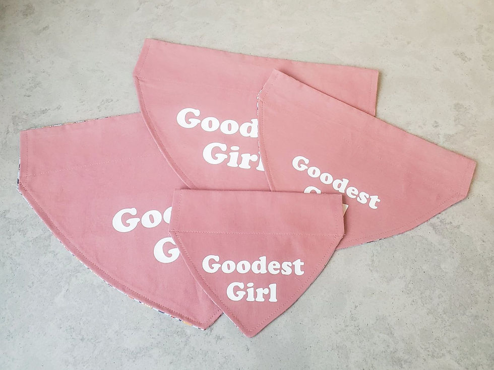 Thumbnail: Dog bandanas with 'Goodest Girl' printed on them.