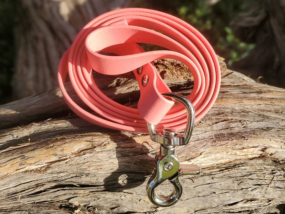 Thumbnail: Pink BioThane Dog Lead sitting on a tree trunk at the beach