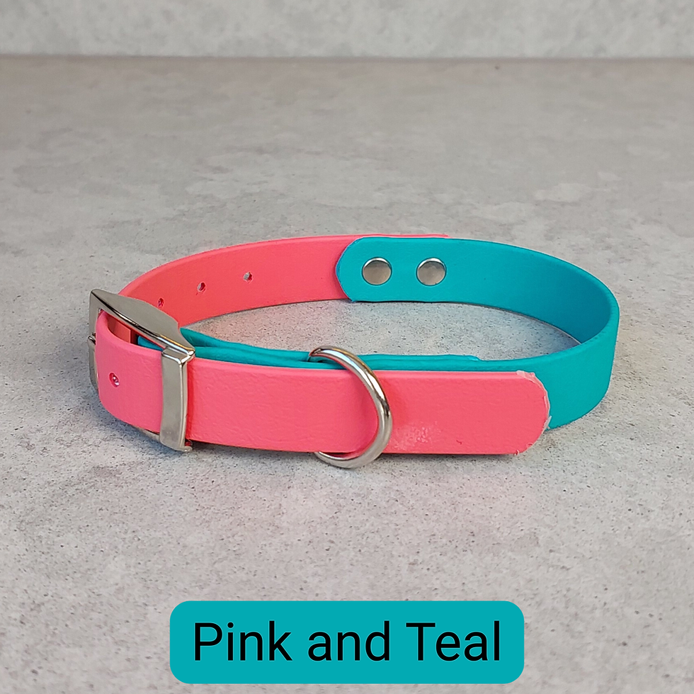 Thumbnail: 2 Colour Waterproof Dog Collar