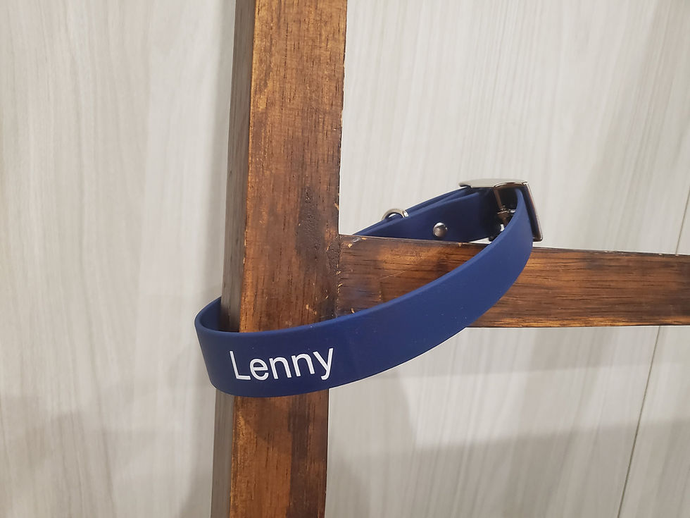 Thumbnail: Navy Blue BioThane Collar with name in white.