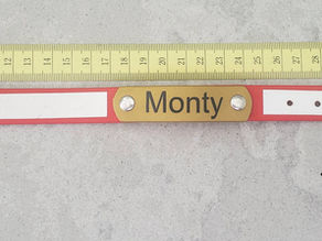 Measuring for new collar using an existing collar