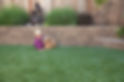 Oyas yard-10.jpg