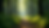 Eye-level view of a lush forest in a serene environment