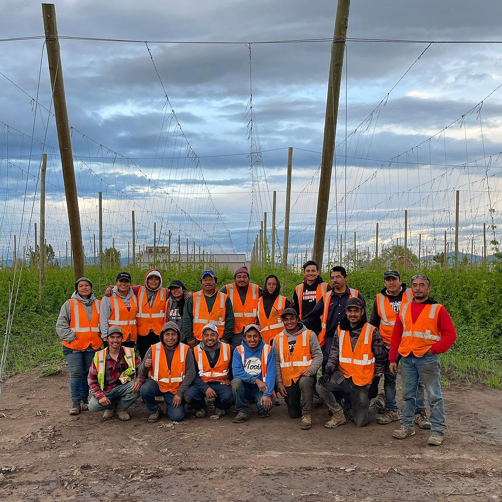 Hispanic H-2A workers for Flathead Valley Hops in Kalispell.