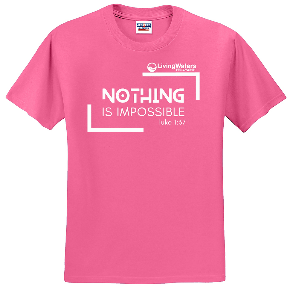 Thumbnail: LWF Nothing is Impossible #2 -- Tee