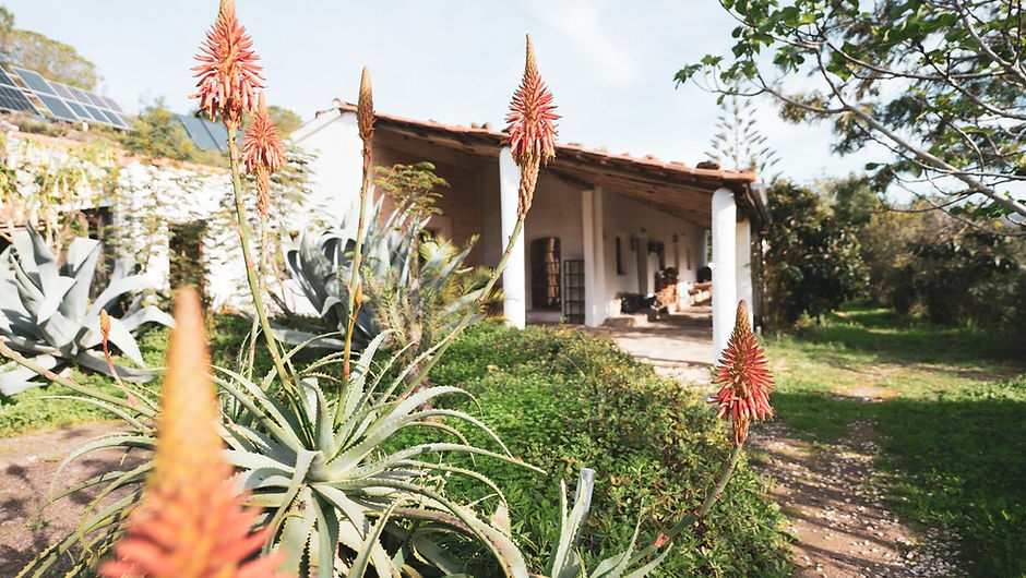 Garten & Terasse.jpg