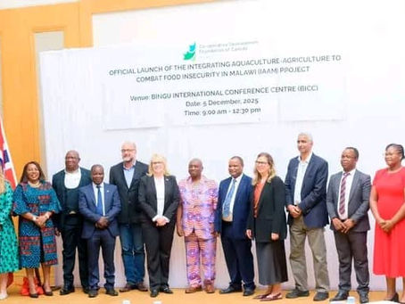 IAAM Project launched
