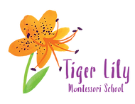 Tiger Lily Montessori School | Authentic Montessori School