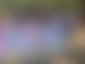 ग्राम पंचायत कुटंगा के झिरना धाम में जन सहयोग से किया बोरी बंधान(WaterConservation CommunityEfforts SustainableAgriculture)