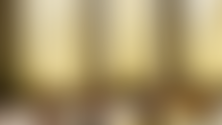 Elevate Your Wellness with Vinyasa Yoga Workshops