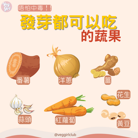 唔怕中毒！發芽都可以吃的蔬果