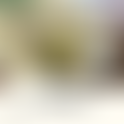 [香港有素食] 上環 | 好客山東