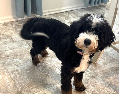 7281E5B8-934D-4C64-8E57-4362951FEC35_edi