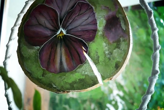 Baumscheibe erblüht