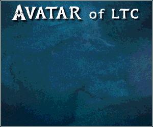 avatar-300.gif
