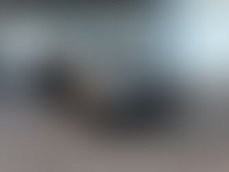 Is Paint Protection Film Worth It in Florida? Sarasota’s Complete Guide to PPF