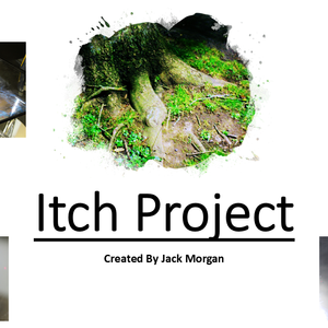 Itch Project: An Experimental Photographic Journey