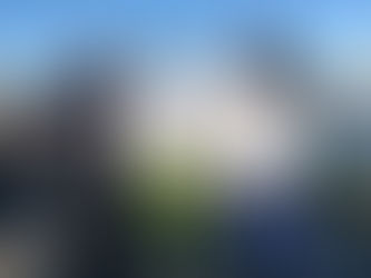 Speckled Trout - Where are you?