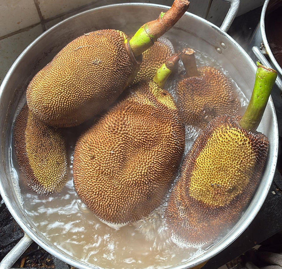 Jacas verdes inteiras lavadas