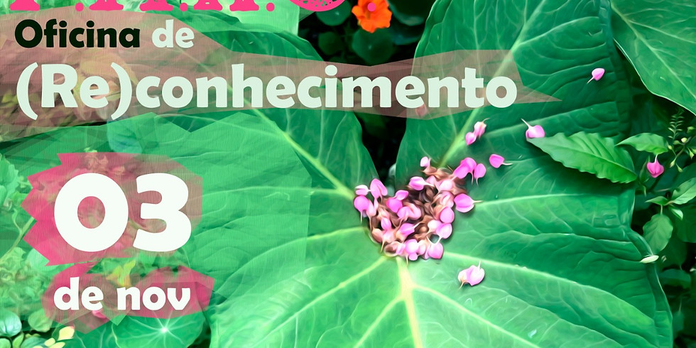 NOV 2019 - PANC - Oficina de (RE)CONHECIMENTO