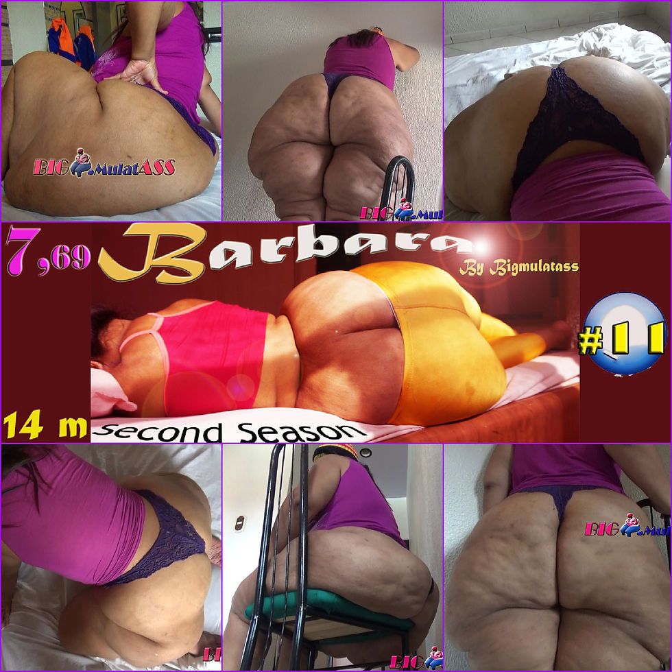PORTADA VID 11