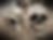 Thumbnail: Death's Head