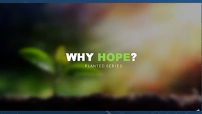 Planted Series: Bertumbuh di dalam Kegelapan