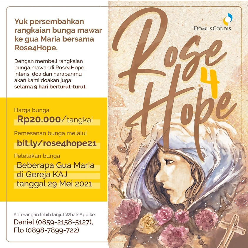 Rose for Hope