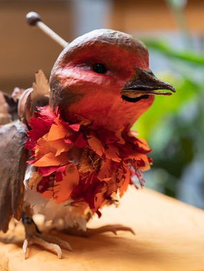 Robin Redbreast