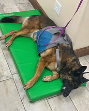 2024 In Honor of Duco Project recipient Barin