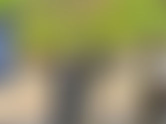 walther, aimpoint and Safariland supporting War HOGG Tactical's Project Officer Survival