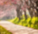 Heading (1).png