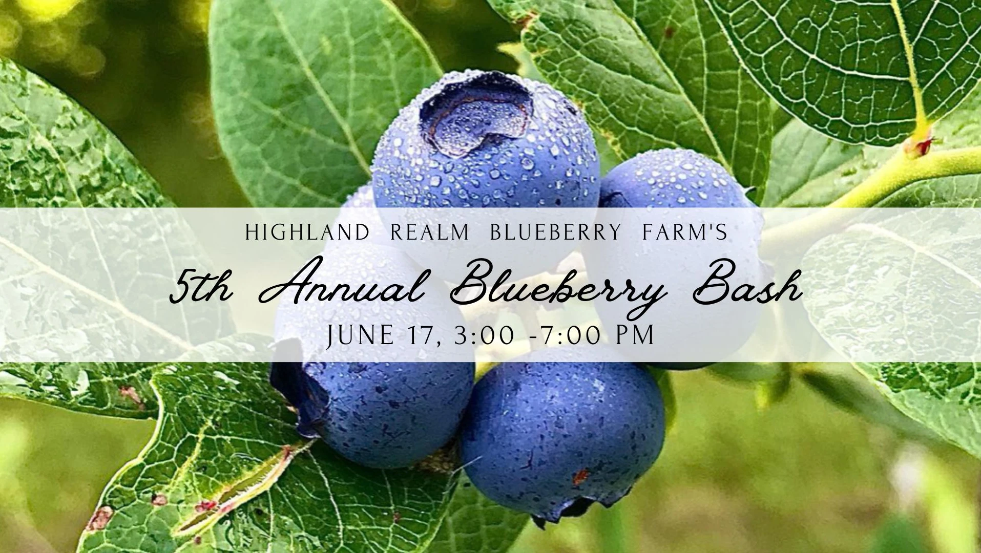 Blueberry Bash.webp
